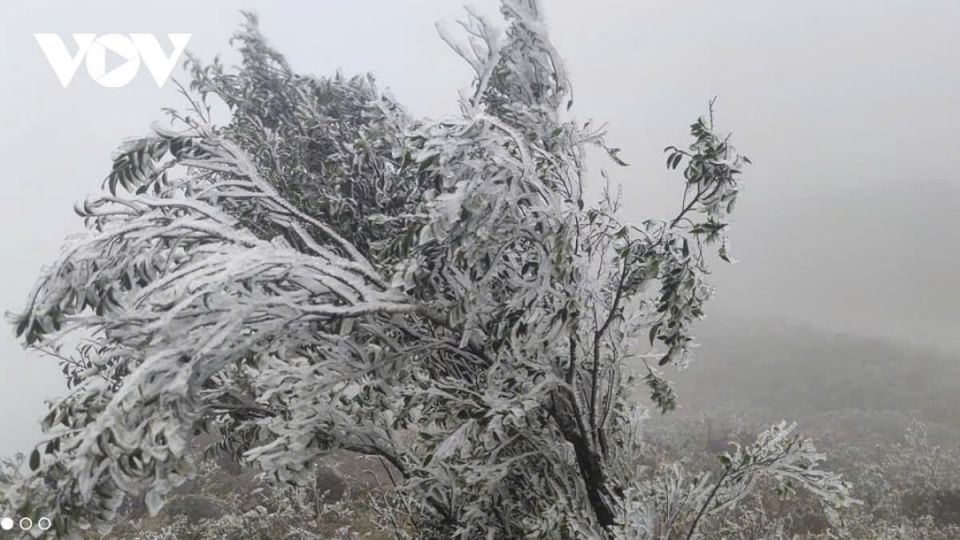 Strong cold spell grips northern Vietnam, frost and ice risk in mountains.jpg