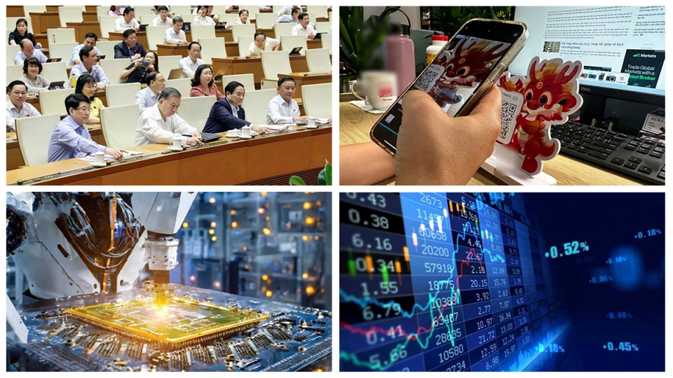 Vietnam - reforms shaping new economic model 12.jpg