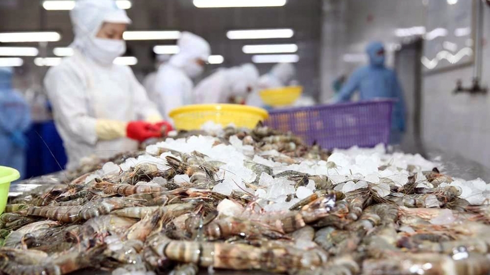 Vietnam shimp exports.jpg
