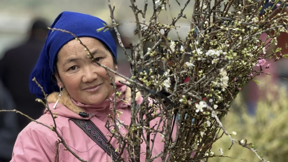 Bac Ha market comes alive ahead of Tet with wild peaches and white plums