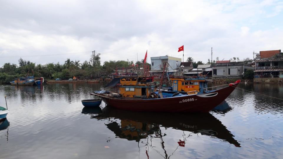 da-nang-restructures-fleet-to-protect-marine-resources.jpg