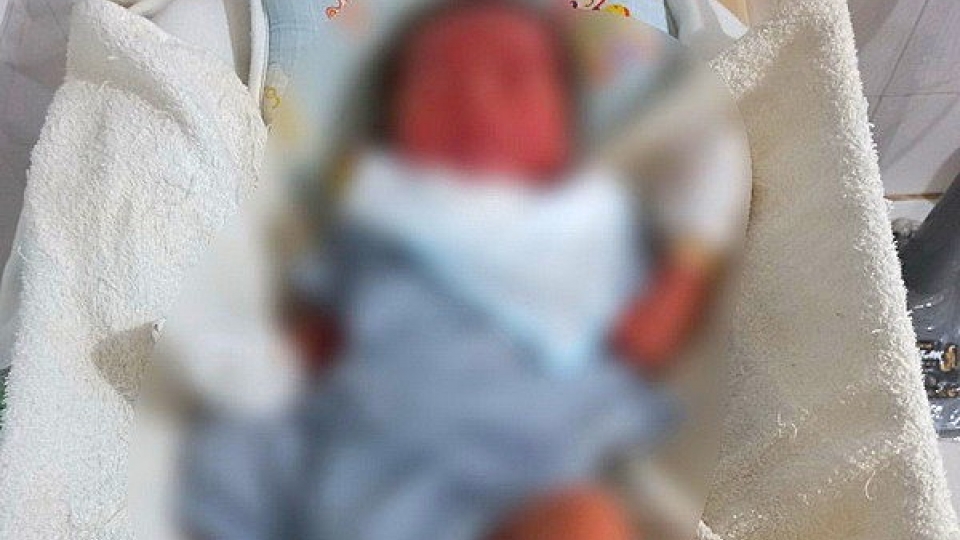 Ảnh minh họa_0.jpg