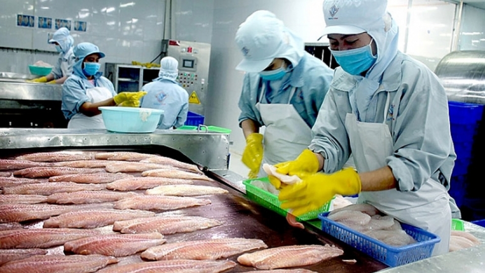 3207_Anh_kem_bai_ca_tra.jpg