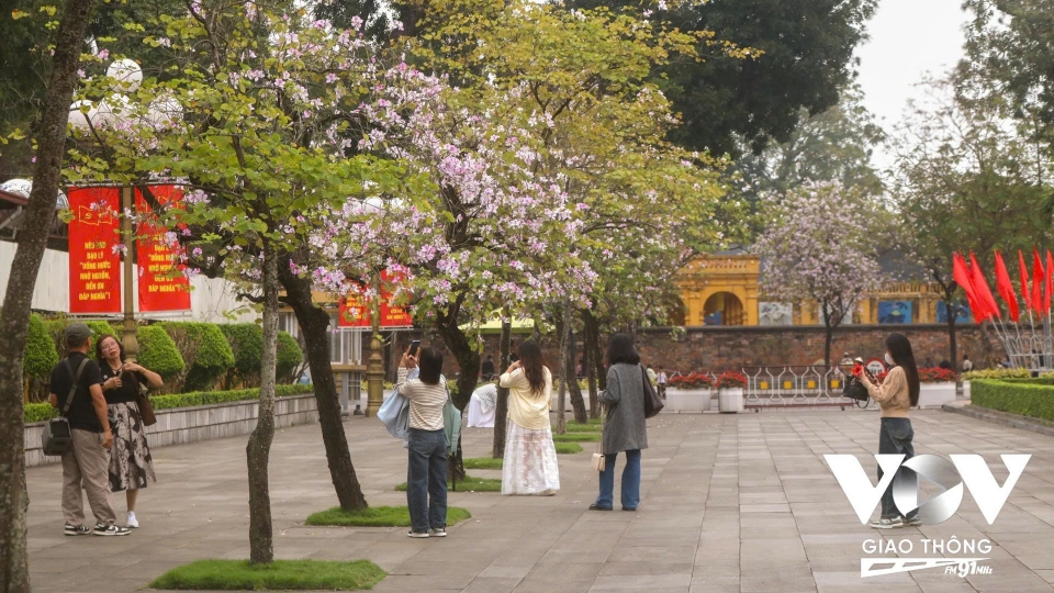 Hà Nội khoác lên mình nét đẹp tháng Ba riêng có