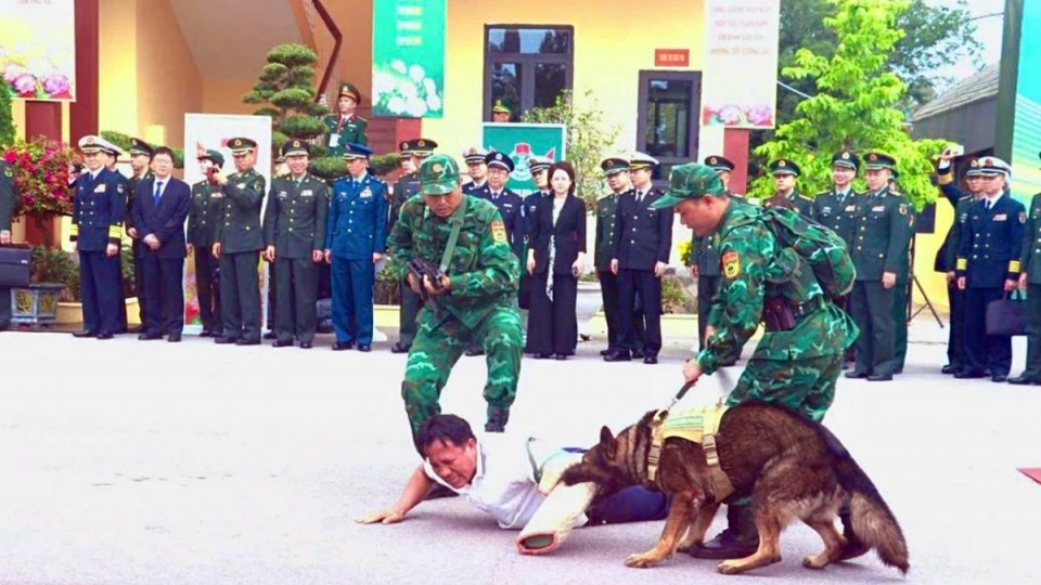 Sniffer dogs assist border guard forces in anti-drug operation