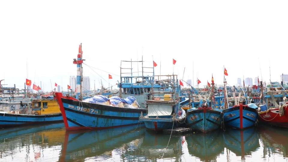 Nhiều chủ tàu cá sắp xếp phiên biển trở về bò để ngư dân tham gia bầu cử.JPG