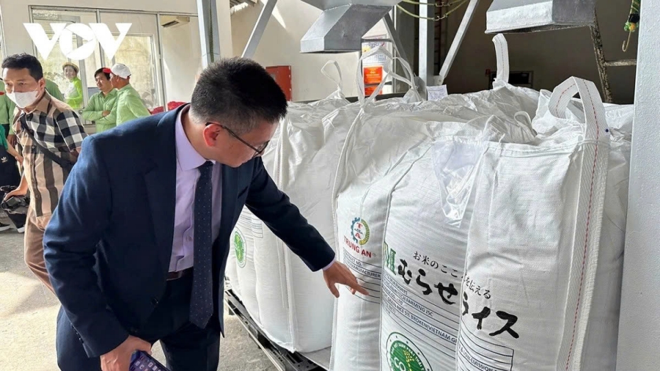 Vietnam exports high quality rice to high-end markets such as Japan.jpg