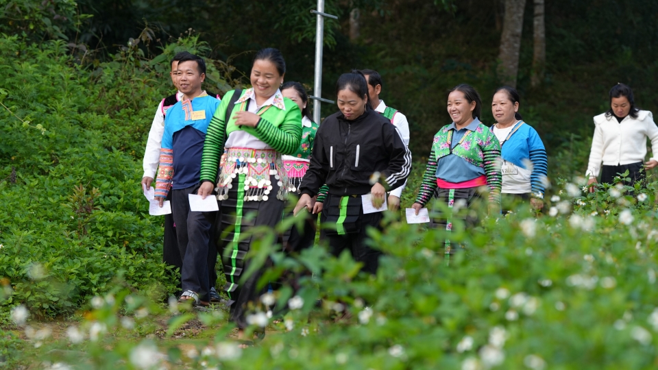 Đồng bào các dân tộc vùng biên xứ Thanh nô nức đi bầu cử