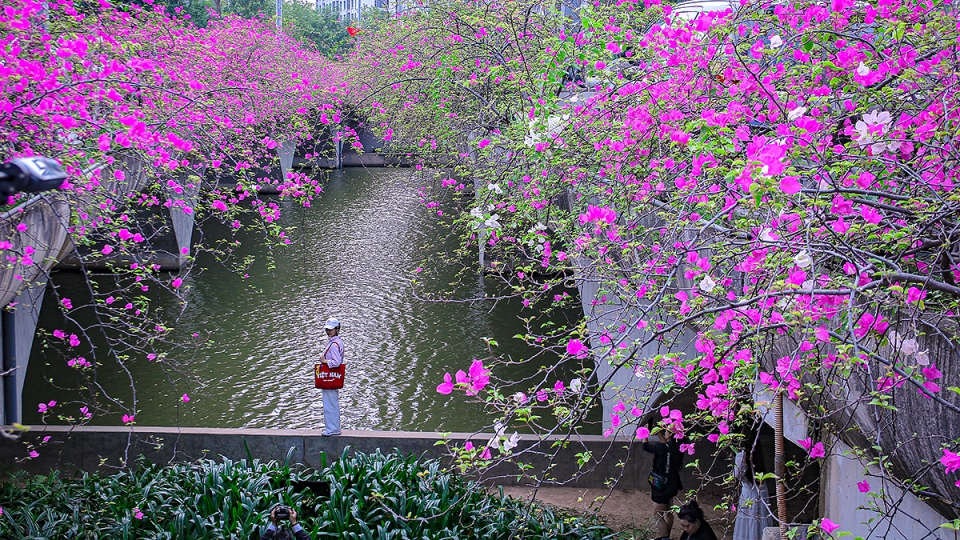 Cầu hoa giấy “đẹp như tranh” hút giới trẻ tới check-in cách Hà Nội chỉ 30km