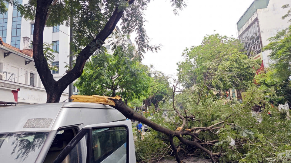 Cành cây lớn gãy đè trúng ô tô trên phố Bà Triệu (Hà Nội) vào giờ cao điểm