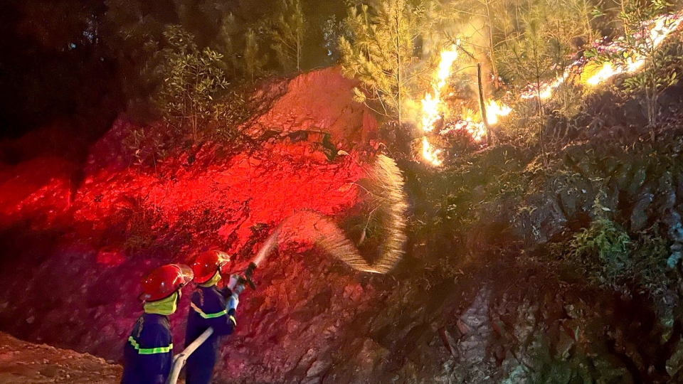 Kịp thời khống chế đám cháy rừng tại sườn núi ở Sóc Sơn, Hà Nội