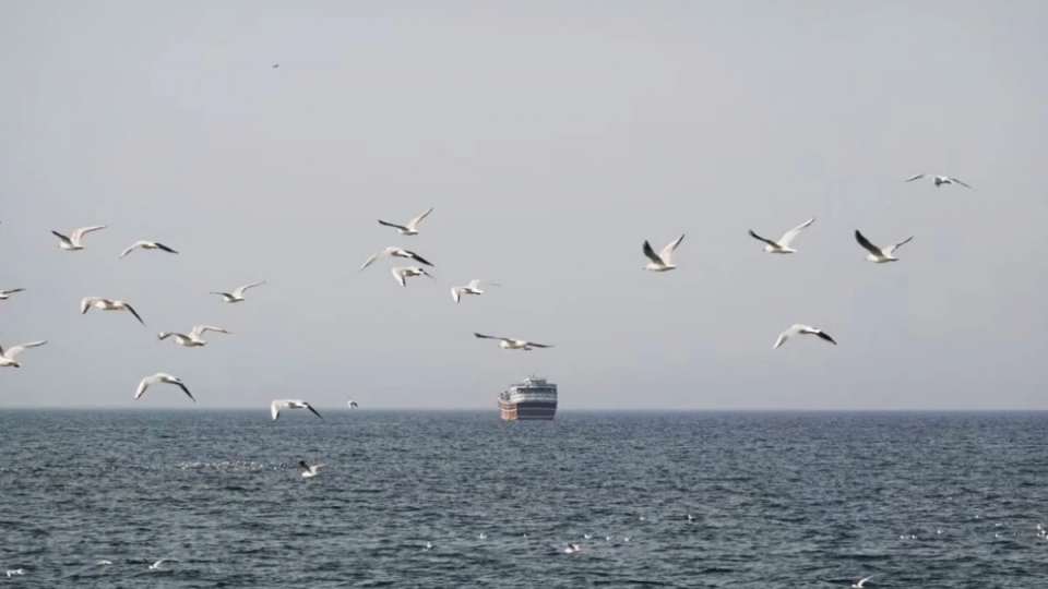 eo_bien_hormuz copy.jpg