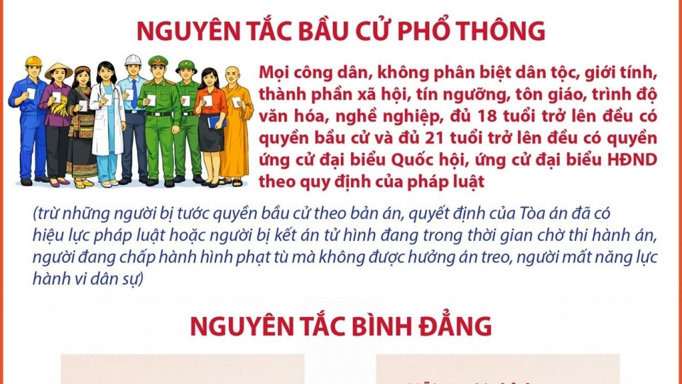 nhung-nguyen-tac-bau-cu-dai-bieu.jpg