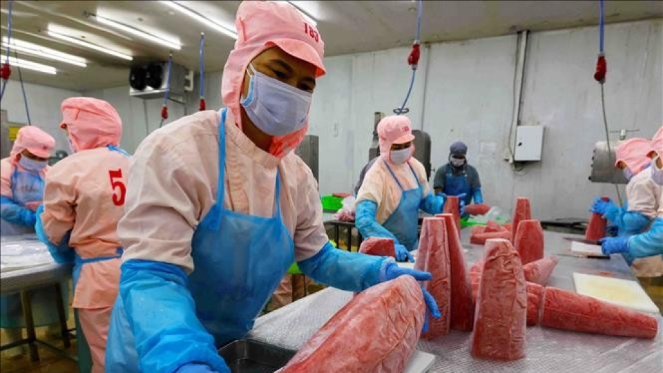 tuna-export-vna.jpg