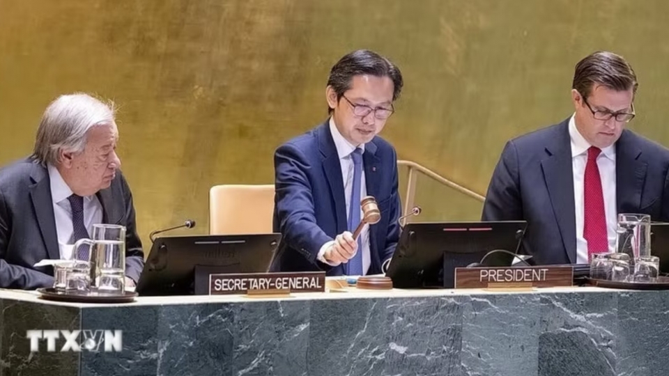 Ambassador Do Hung Viet, president-designate of the conference, chairs the opening session.jpg