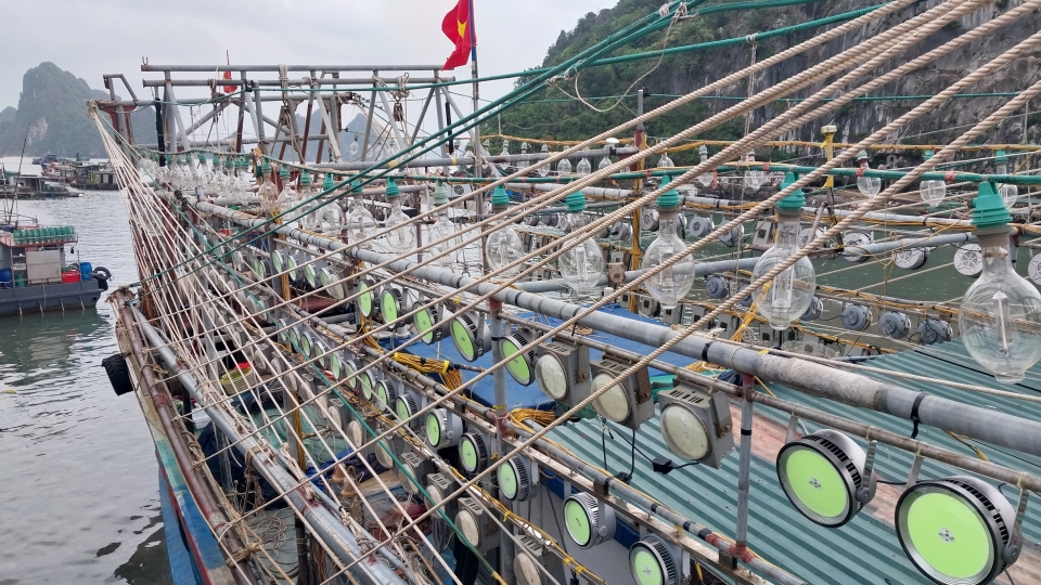 Giá xăng dầu tăng cao ảnh hưởng đến đánh bắt thủy hải sản.jpg