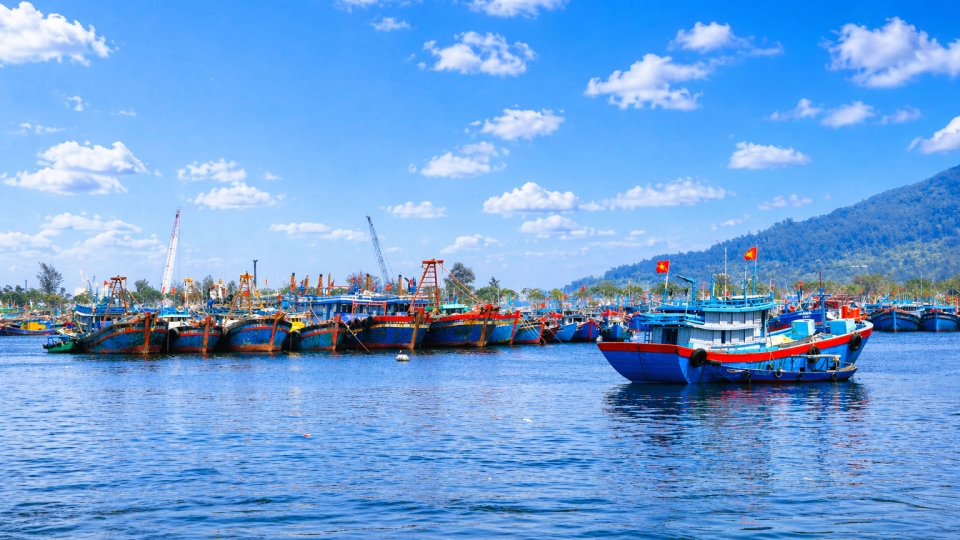 Hầu hết  tàu cá có chiều dài từ 15m trở lên ở Đà Nẵng đã lắp đặt thiết bị giám sát hành trình VMS.JPG