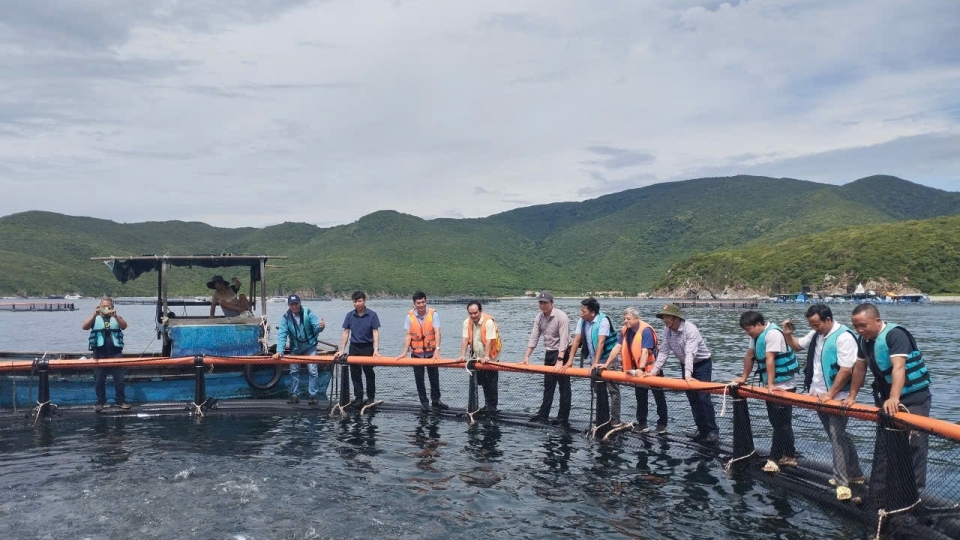 Lồng bè HDPE khắc phục các điểm yếu của lồng bè truyền thống.jpg