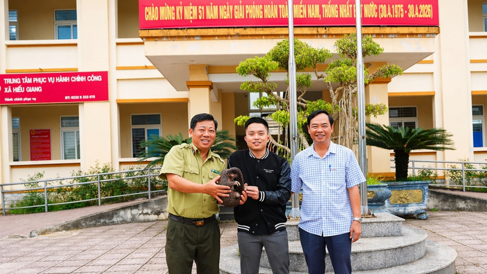 Lực lượng chức năng tiếp nhận cá thể tê tê.jpg