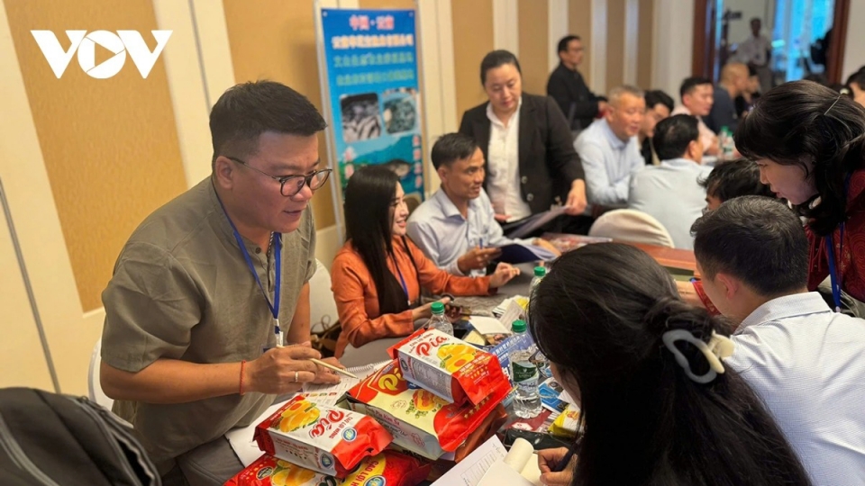 Vietnamese and Chinese businesses participate in a B2B matching session.jpg
