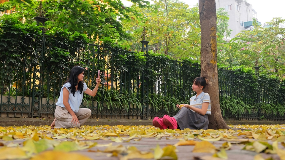 Phố Hà Nội đẹp dịu dàng mùa sấu rụng lá