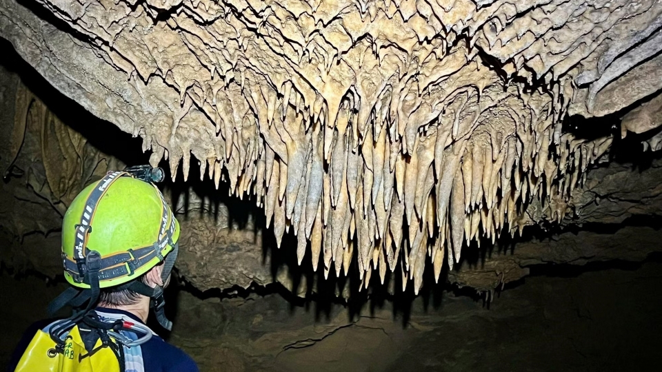 new caves in Phong Nha Ke Bang National Park.jpeg
