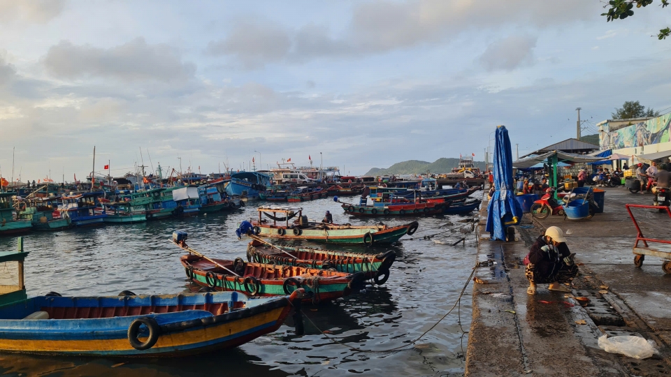 21.5_hdnd_tau_ca_iuu.jpg