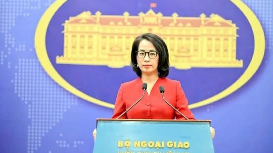 Foreing Ministry spokesperson Pham Thu Hang.jpg