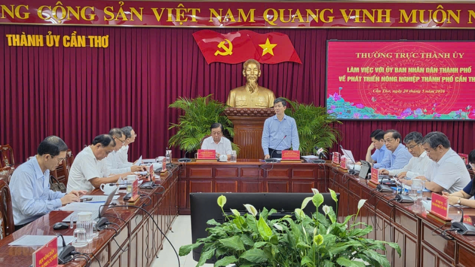 Quang cảnh buổi làm việc.jpg