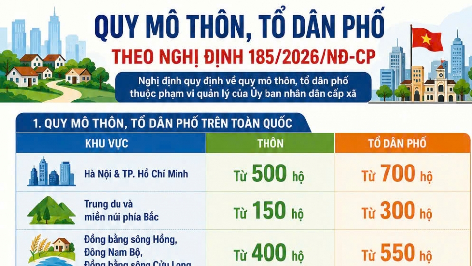 Quy mo thon to dan pho.jpg