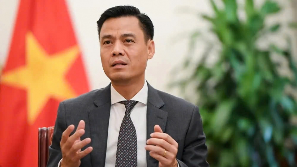 Vietnamese Deputy Foreign Minister Dang Hoang Giang.jpg