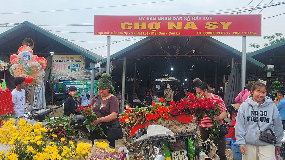 cho_na_si_chi_hop_vao_buoi_chieu_hang_ngay.jpg