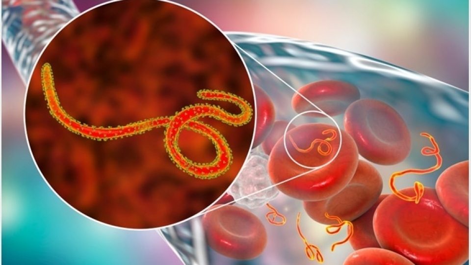 ebola.png