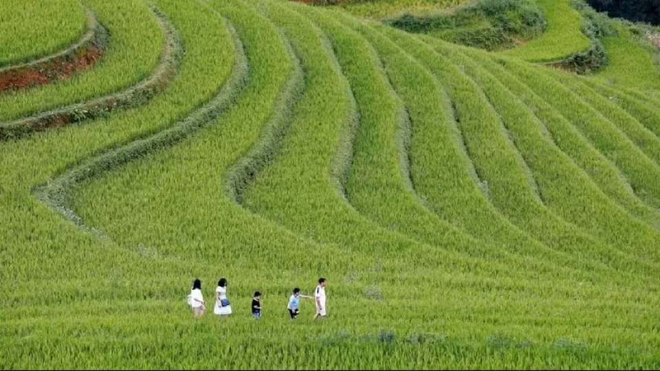 mu_cang_chai.jpg