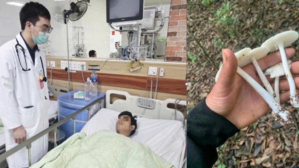 ngo_doc_nam.jpg