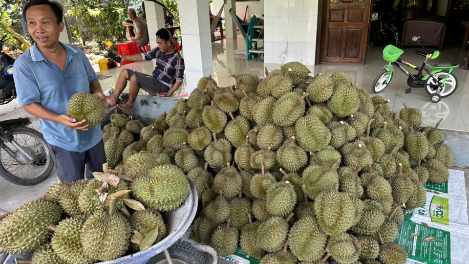 sau_rieng.jpg