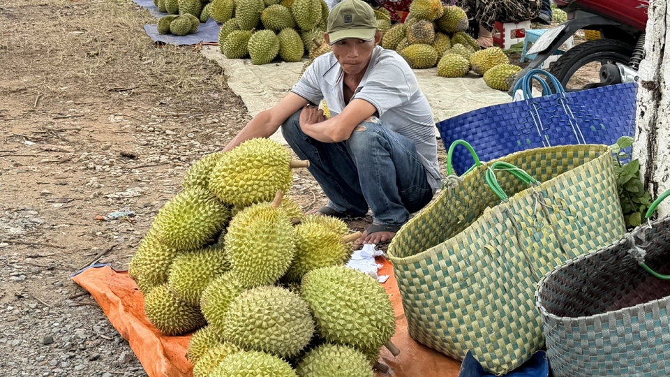 sau_rieng.jpg