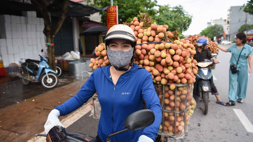 thu_phu_vai_thieu_2.jpg