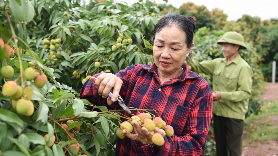 vai_thieu_phuc_hoa_5.jpg