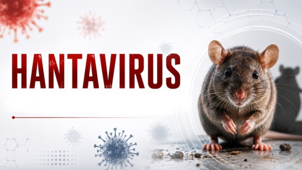 virus-hanta-1-1778486371651282573698.jpg