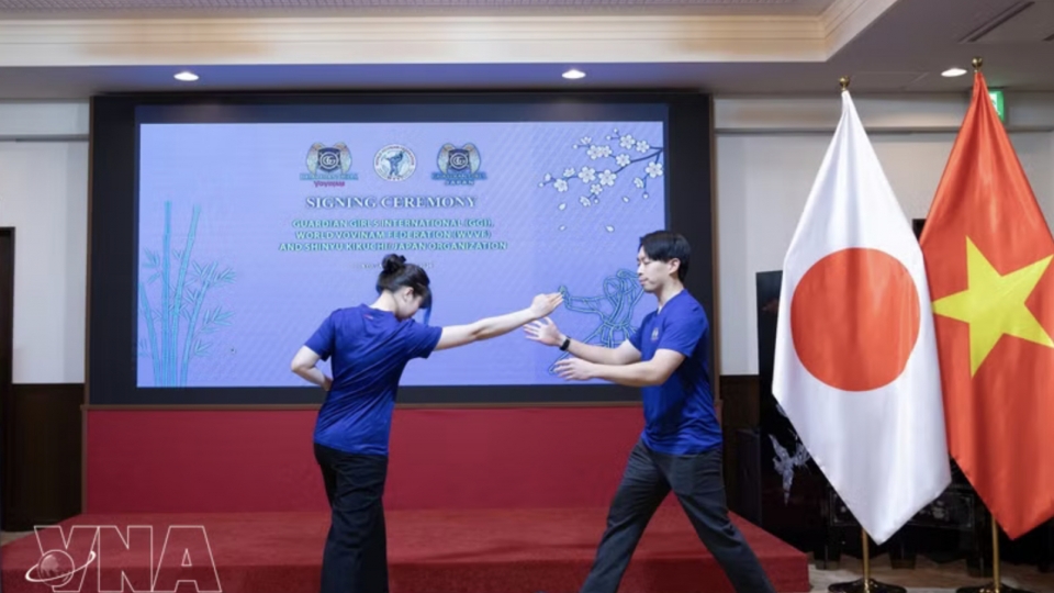 vovinam.jpg