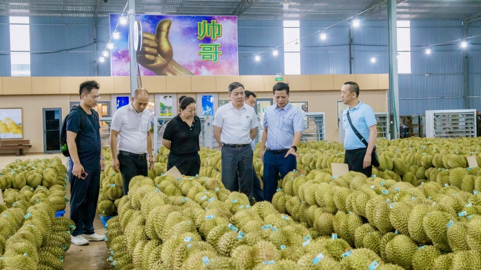 13_6_sau_rieng_4_20260613150925.jpg