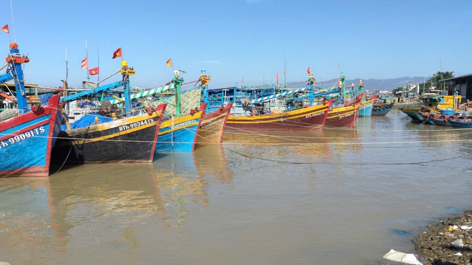 3 ngay 17-6.jpg