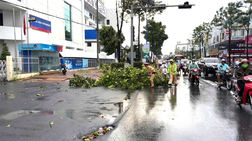 Giông lốc quật ngã hàng loạt cây xanh ở phường Cao Lãnh (Đồng Tháp)