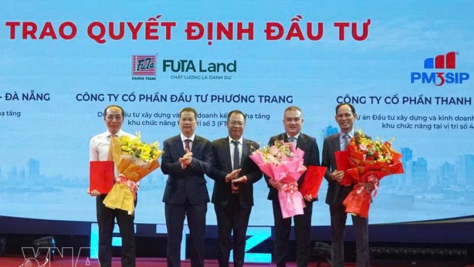 Danang investment.jpg
