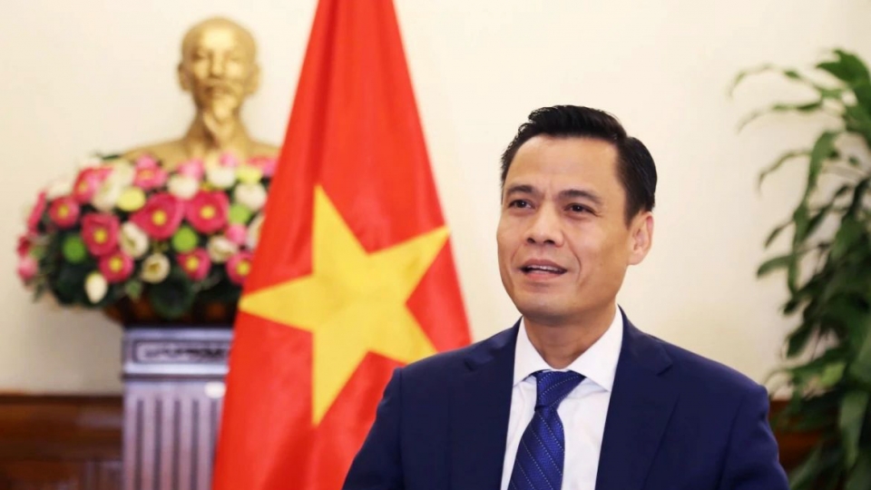 Deputy Foreign Minister Dang Hoang Giang.jpg