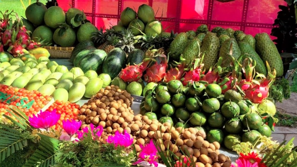 Dong Thap, home to renowned specialty fruits of southern Vietnam