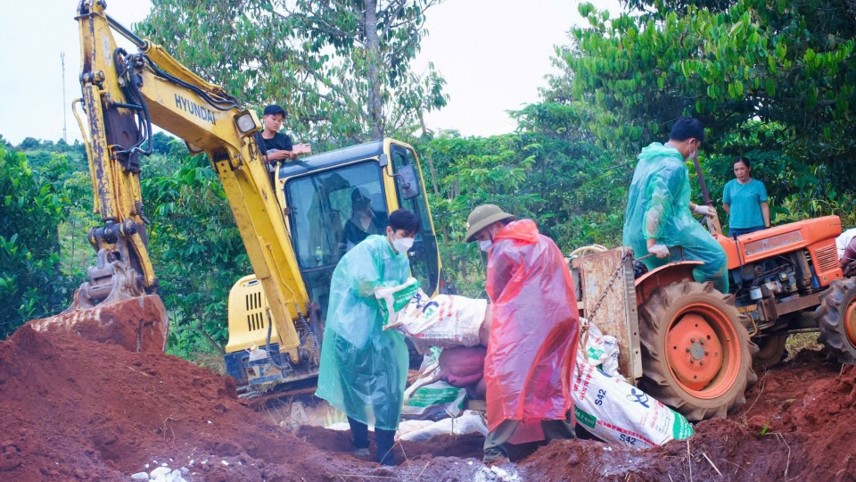 Lực lượng chức năng phường Đông Gia Nghĩa tiêu hủy đàn lợn mắc dịch tả lợn châu Phi để khoanh vùng, dập dịch.jpg