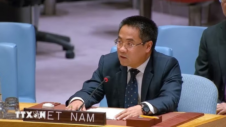 Minister Counsellor Nguyen Hai Luu addresses the debate.jpg
