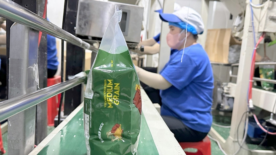 Vietnam currently has 170 businesses involved in rice exports.jpg